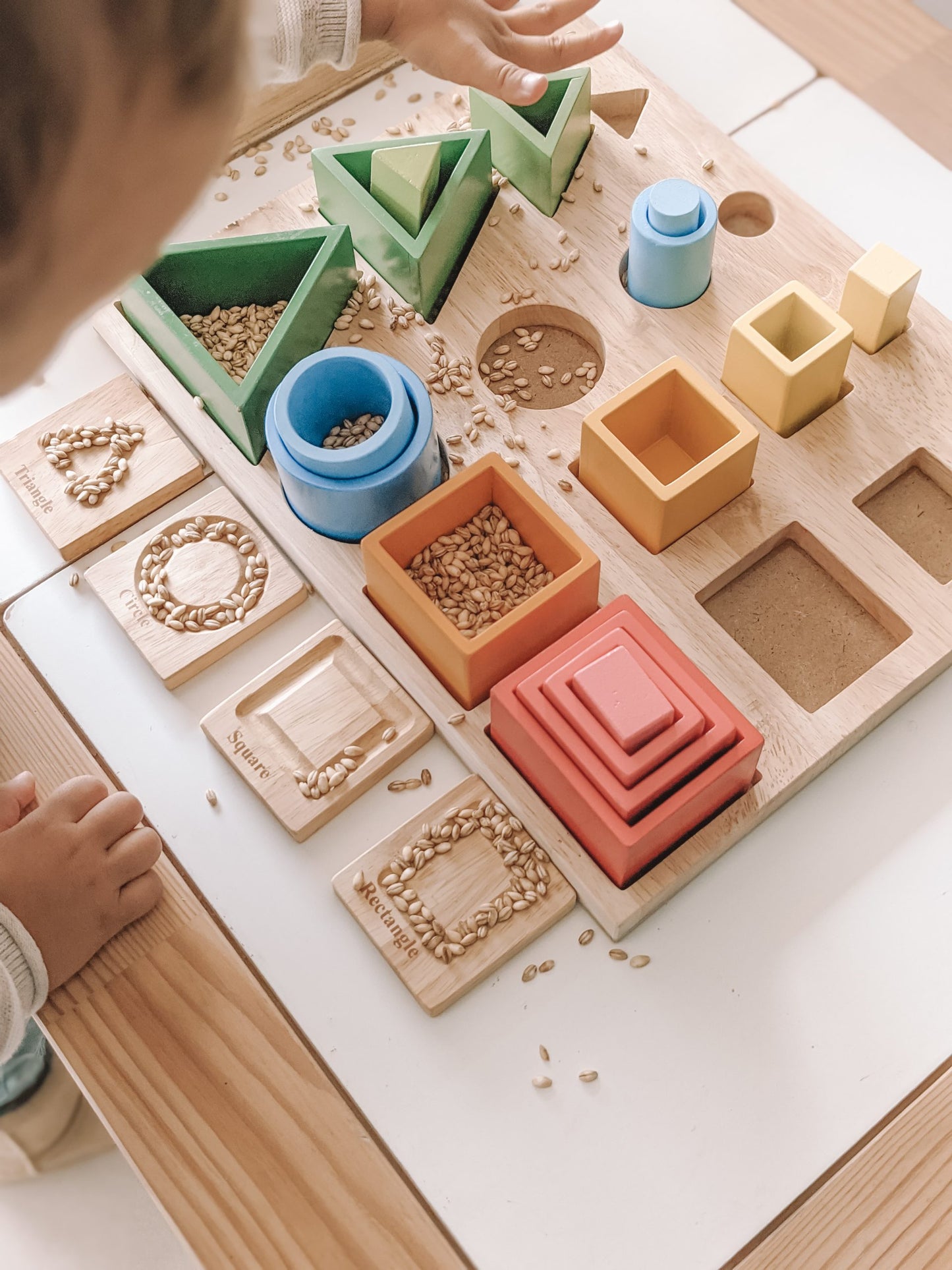 Montessori 3D Sorting & Nesting Board: Where Learning Meets Play! 🎨