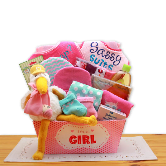 Baby Girl Gift Basket – Pink